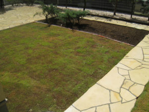 芝生と小さな家庭菜園スペース