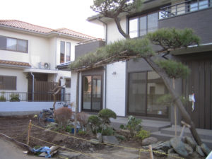 施工前…　玄関前に大きなマツの木などの植栽と石材が元々ありました
